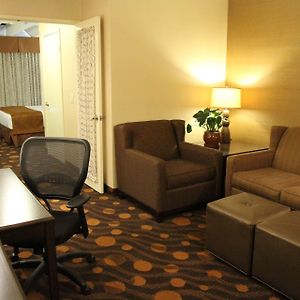 King Suite Sofa Bed Non-Smoking